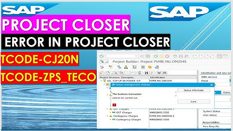 COMMON ERROR IN PROJECT CLOSER | THE BUSINESS TRANSACTION CANNOT BE CARRIED OUT