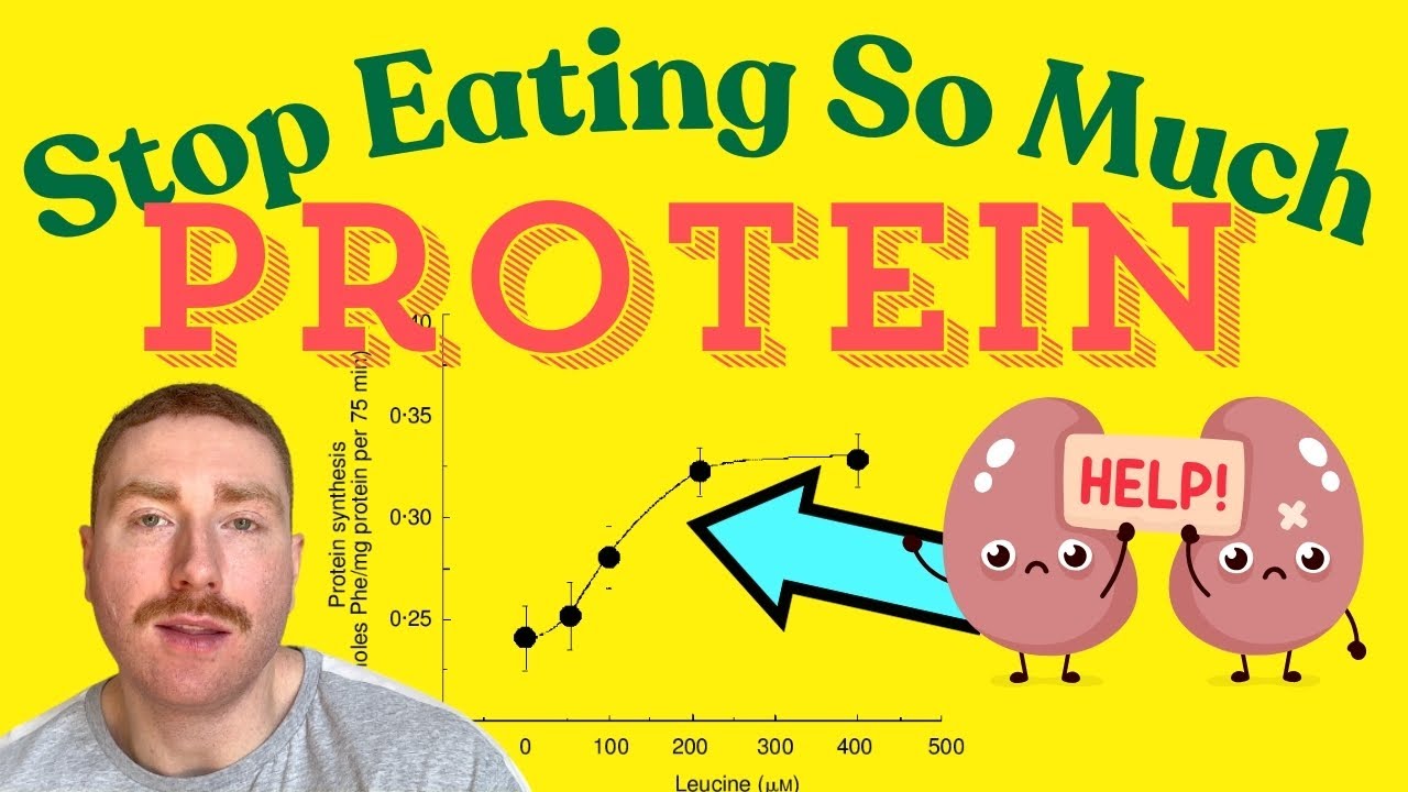 Muscle Recovery Science - Stop Eating So Much Protein - YouTube