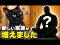 【ご報告】新しい家族が増えました！