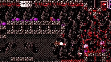 Axiom Verge: PC/ Android Emulation.