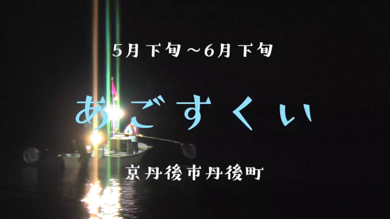京丹後市丹後町 あごすくいに出かけませんか Youtube