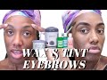 HOW TO: WAX & TINT BROWS AT HOME | BEGINNER FRIENDLY | Nikki O