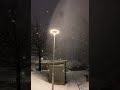 Snowfall - Kar Yağışı #snow #snowfall #winter #winteriscoming #karyağışı #kar #asmr #nature ☃️❄️