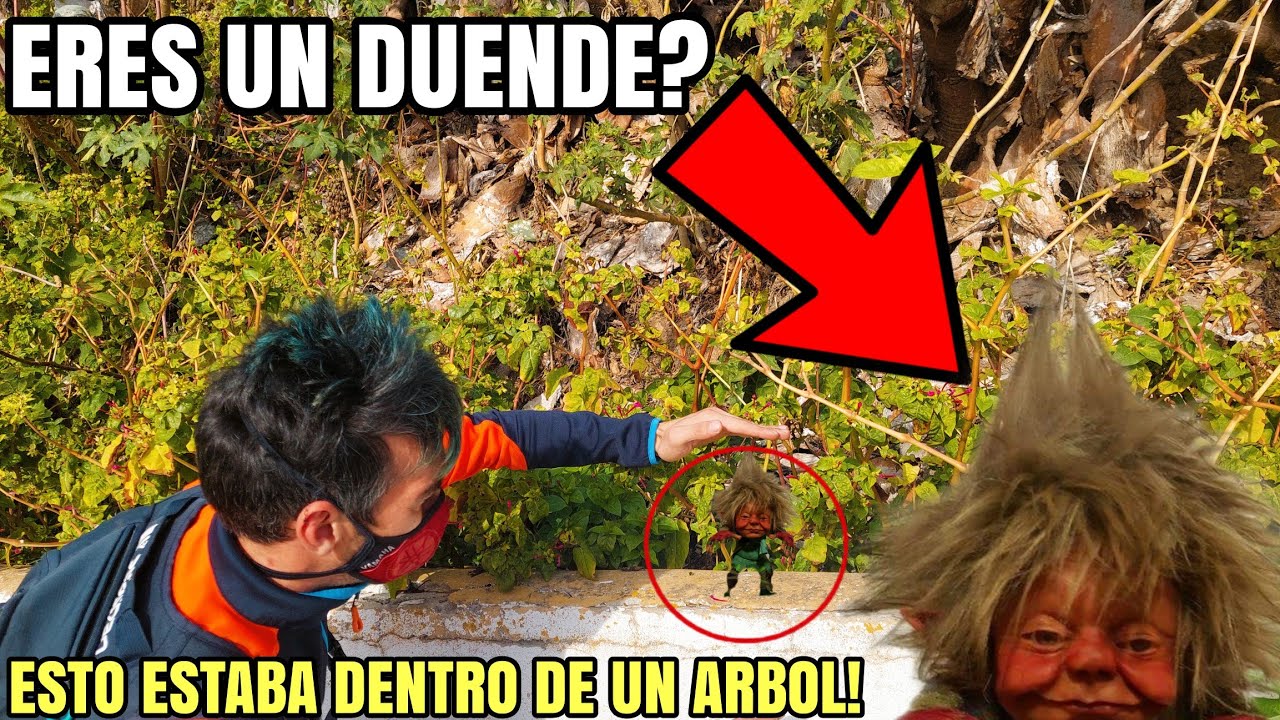 DUENDE REAL CAPTADO-Se SORPRENDIO AL VER un duendecillo en el bosque