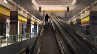 Maciao - Episodio 3 - Laura Forgia - 2015 - 2016