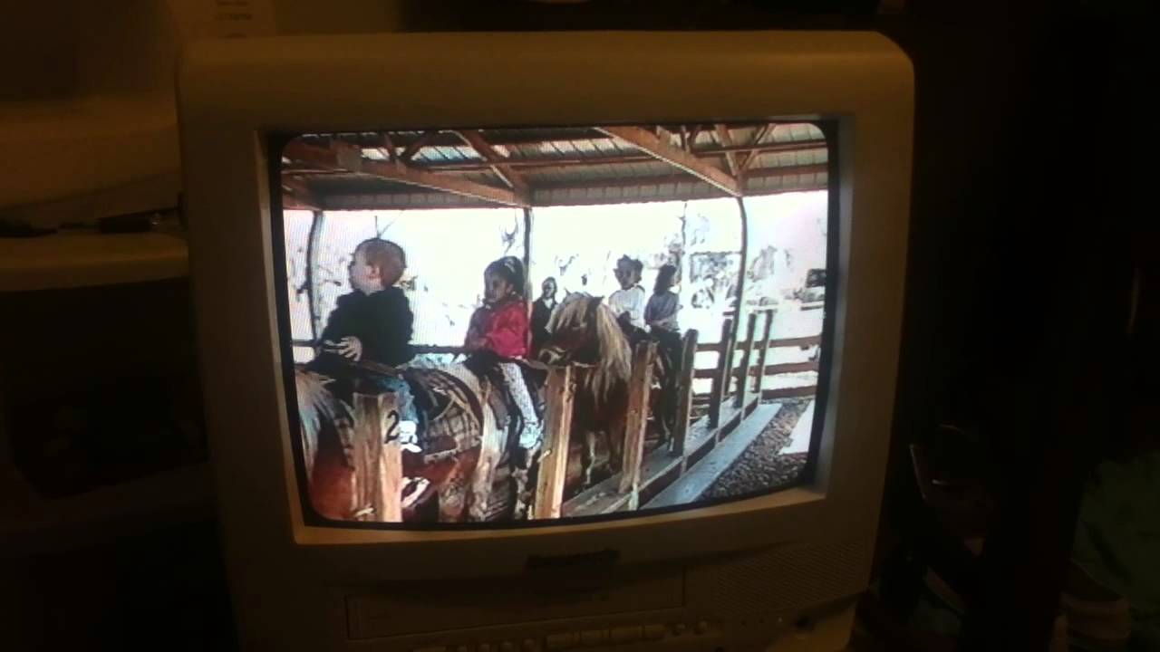 Horseback riding at the zoo 2 YouTube