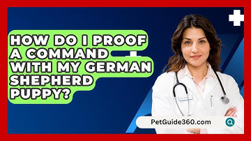 How Do I Proof A Command With My German Shepherd Puppy? - PetGuide360.com