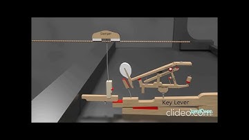 The grand piano strings are not being fully muted after the hammer strick. How can I fix it DIY?