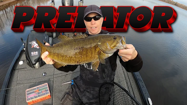 Running the Bank in the Fall for Predator Smallmouth !
