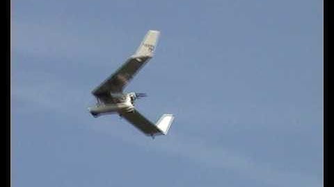 swift rigid wing soaring bopeep