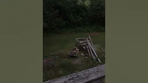Deer chasing rabbit