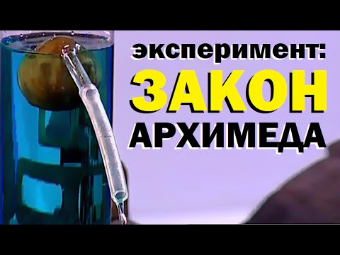 Галилео. Эксперимент. Закон Архимеда