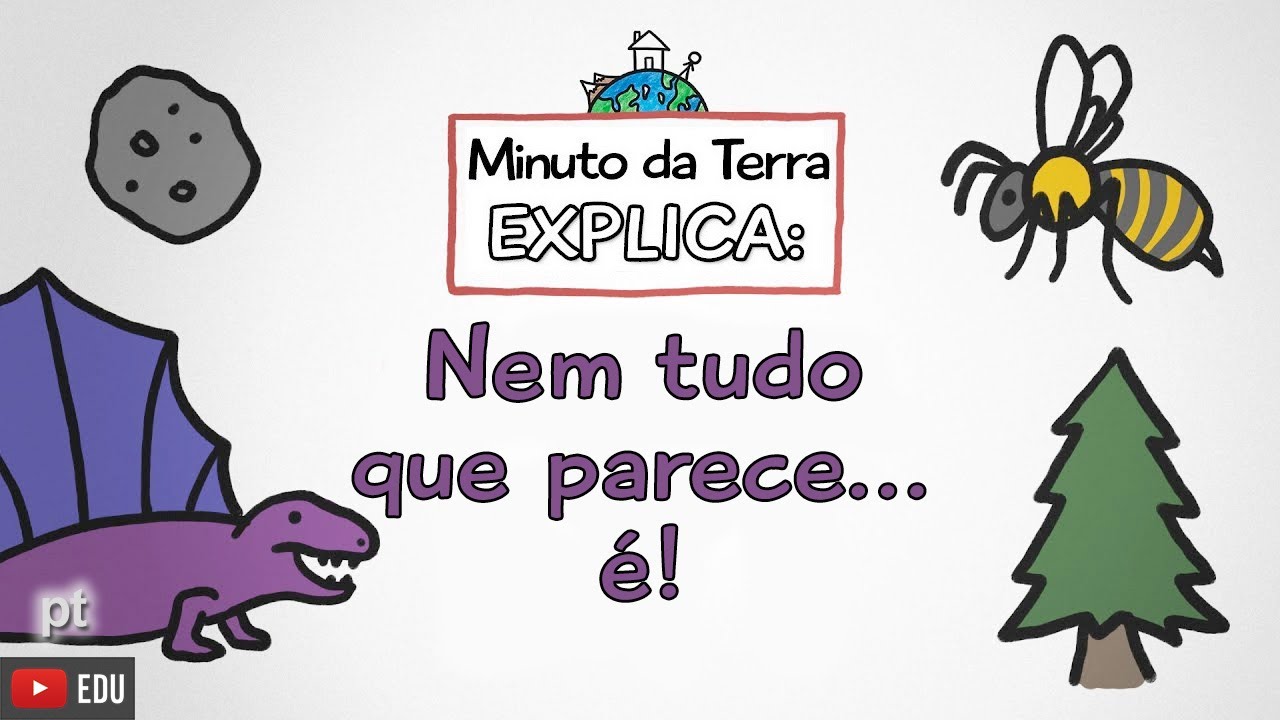 Minuto da Terra explica: NEM TUDO QUE PARECE... É!