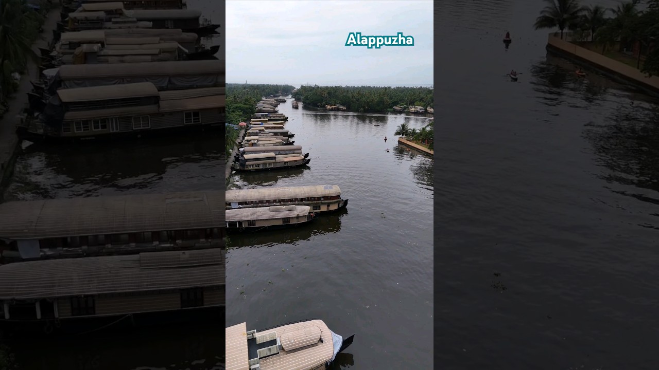 Backwaters of Alappuzha 