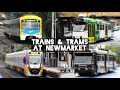 Trains & Trams at Newmarket - October 2025