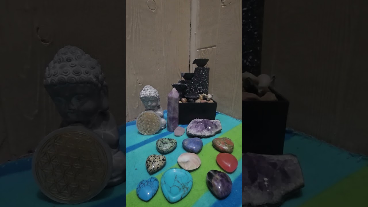 Sharing sending love and light brothers and sisters 💜🦋🐈‍⬛🫶🤗Jan 26th 