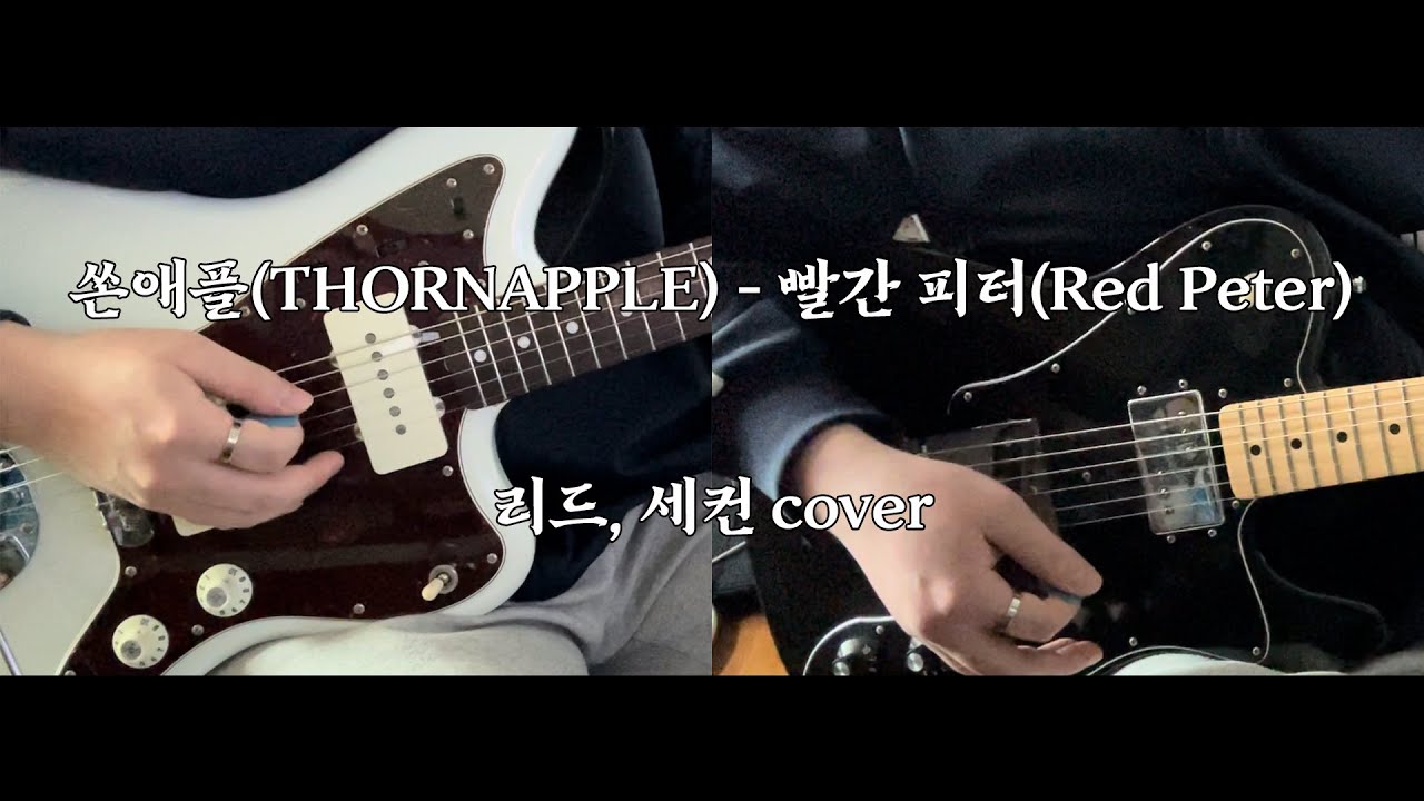 쏜애플(THORNAPPLE) - 빨간 피터(Red Peter) 리드, 세컨 기타 cover