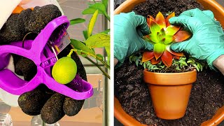 Grow your plants with these useful hacks! by 5-Minute Crafts DIY 3,292 views 3 days ago 16 minutes