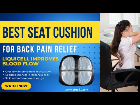 Great Back Pain Relief Seat Cushion - Ergo21