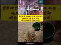 SEEMAN | water important