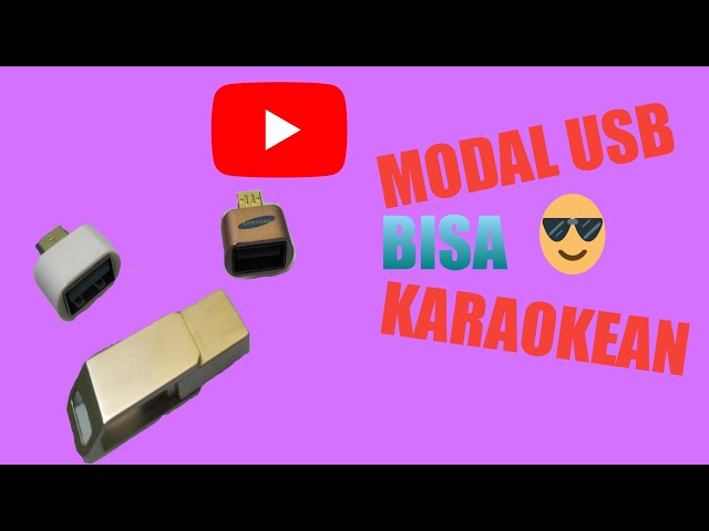 modal USB/flashdisk bisa karaoke class=