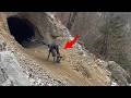 La Criatura MÁS ATERRADORA Salió de una Cueva… ¡Y Nadie Esperaba lo que Hizo!