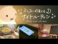 ［Night Routine］ミッフィーが見ているナイトルーティン / 夫婦2人暮らしお仕事終わりの過ごし方