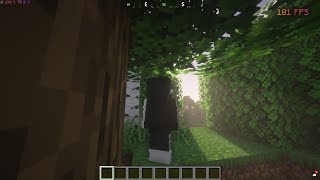but can it run minecraft?