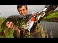 Риболов на Щуки с Големи Воблери/ Pike Fishing with Big Lures/ Hechtangeln mit grossen Wobblern