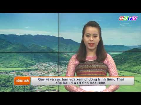 Video CT Tiếng Thái: Chính sách dân tộc huyện Mai Châu, Hòa... - youtube