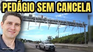 Como pagar pedagio FREE FLOW Cacador de Carros
