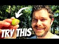 Word Swapping Tricks To Reduce Your Pain Experience