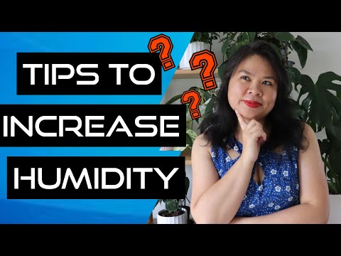 Video: How to increase the humidity in the room: ways to humidify the air, tips and tricks