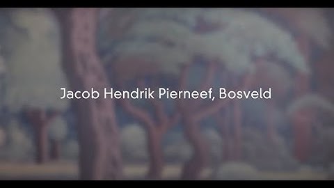 Jacob Hendrik Pierneef