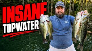 This Topwater Bite is ABSOLUTELY INSANE!