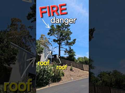 low cost insurance for first time home buyers