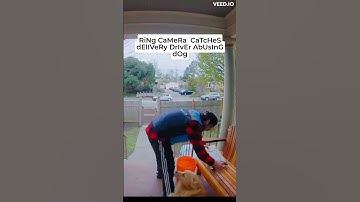 Ring Light Catches Delivery Driver Abusing Dog