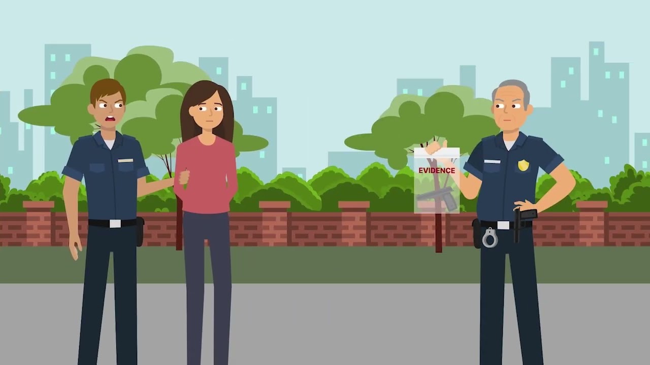 People v. Snyder (1982) Case Brief Summary | Law Case Explained