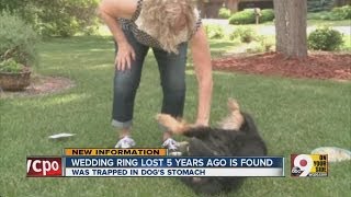 Wedding ring lost five years ago found