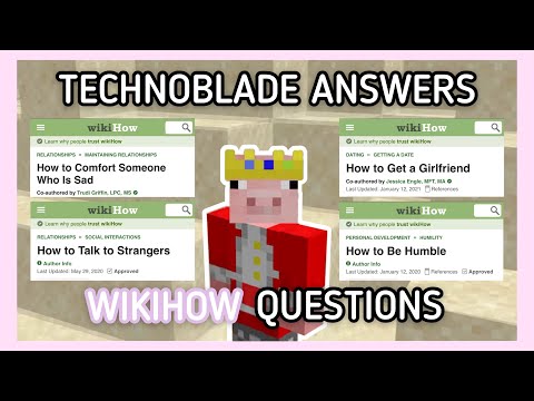 Technoblade, Wiki