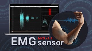 EMG sensor MYO v1.4 for measuring muscle activity. EMG signal examples and connection to Arduino