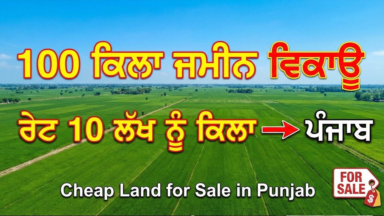100 ਕਿਲਾ ਜਮੀਨ ਵਿਕਾਊ ਰੇਟ ਸਿਰਫ 10 ਲੱਖ ਨੂੰ ਕਿਲਾ ਪੰਜਾਬ | Cheap Land for Sale in Punjab