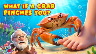 What If A Crab Pinches You? | How to Survive A Crab Attack | Strongest Claw | Prof Coco Show Information