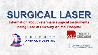Surgical Laser - Veterinary Surgical Instruments