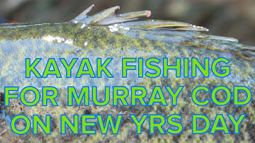 14hrs Kayak Murray Cod Fishing on New yrs day with Hawkesy Fishing