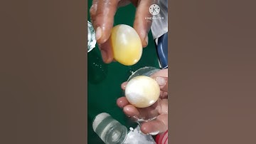 Reaction of Egg with Hcl/Osmosis part-1/#shortvideo #shorts viral
