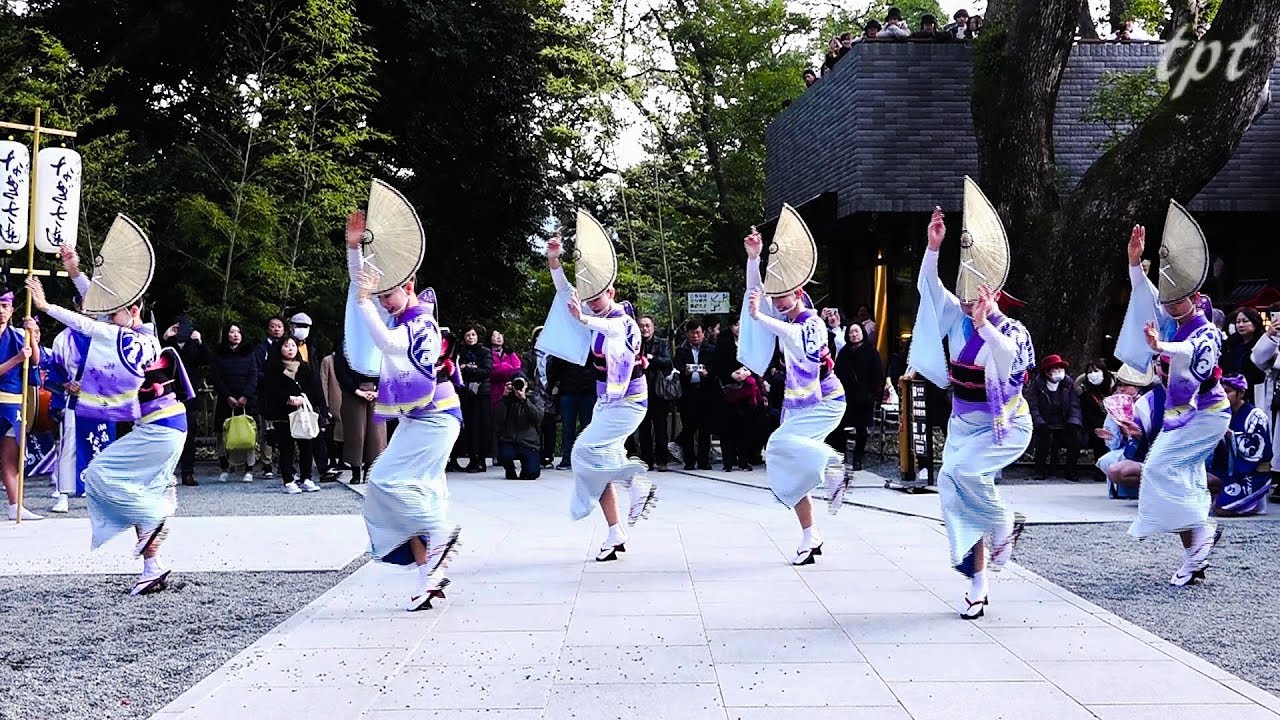 【記録】湘南なぎさ連  熱海 來宮神社 奉納踊り