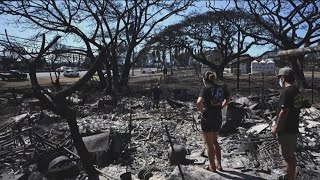 Families in desperate search for loved ones as Maui fires death toll rises