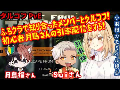 【タルコフPvE】ふろクラメンバーでタルコフ！今日は引率側！【小羽根カモミイル視点】