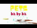 Pet Identification Quiz